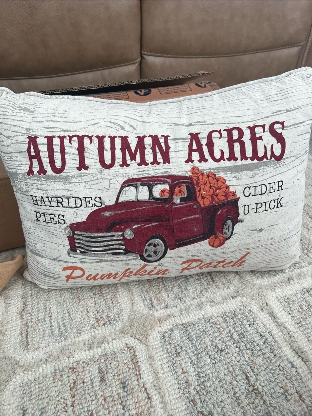 One farmhouse decorative fall pillow